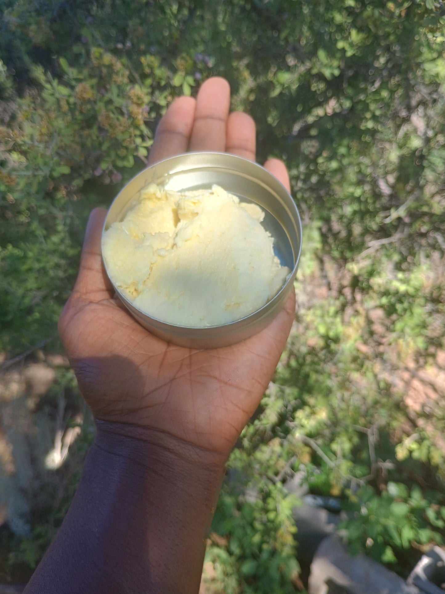 Shea Butter Moisturizer
