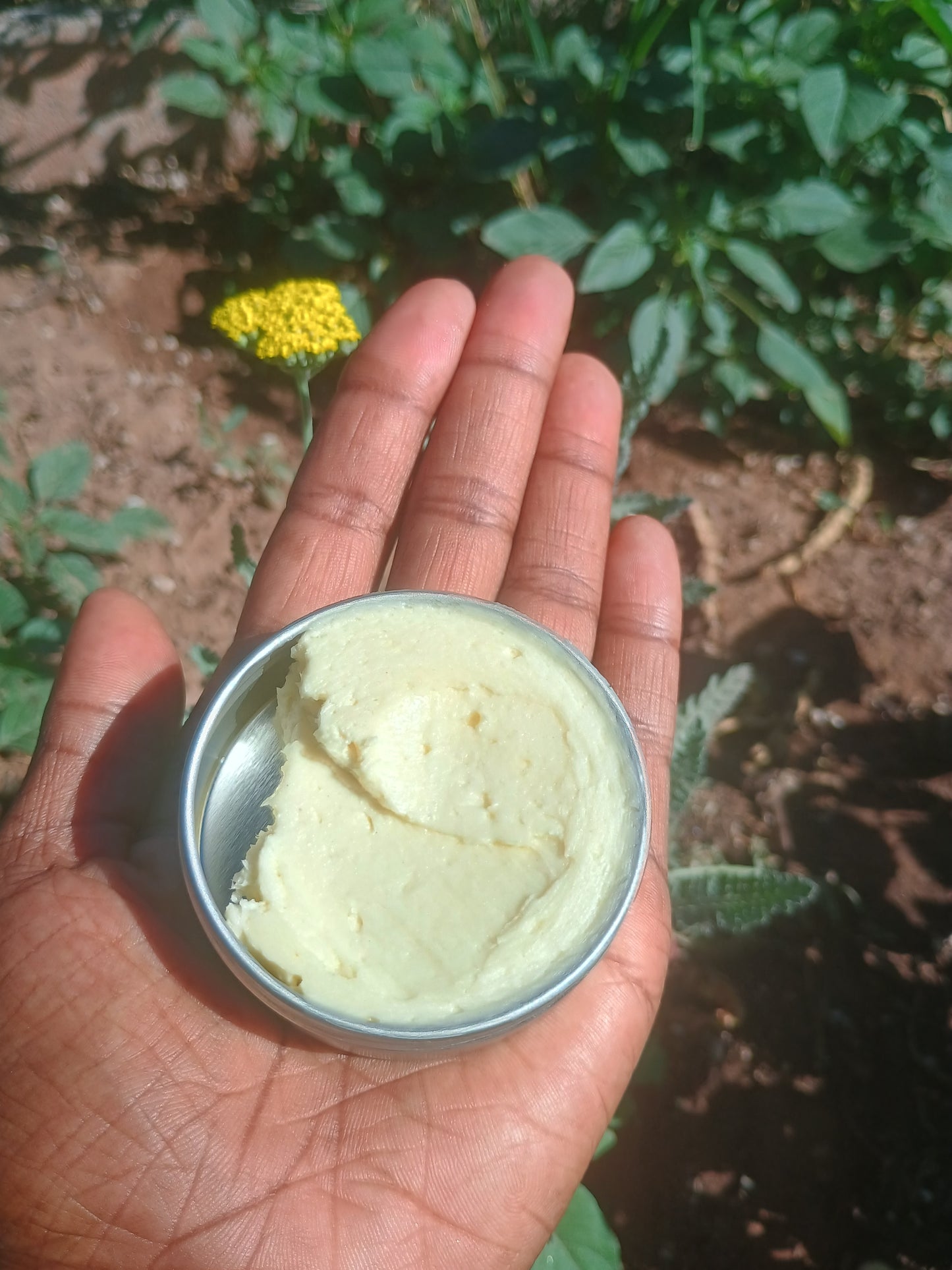 Shea Butter Moisturizer