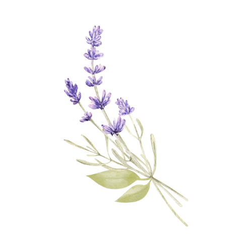 Room +Linen Spray