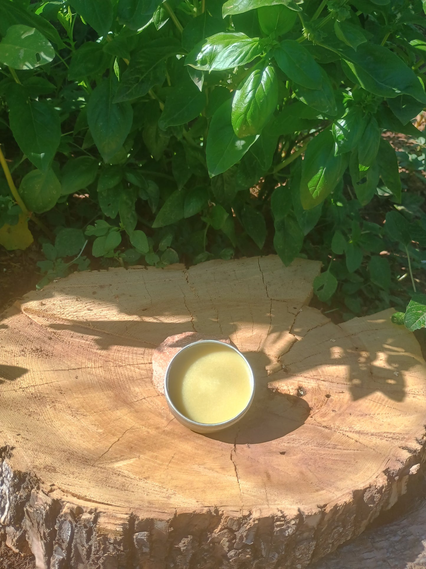 Insect Repellent Balm - Strong