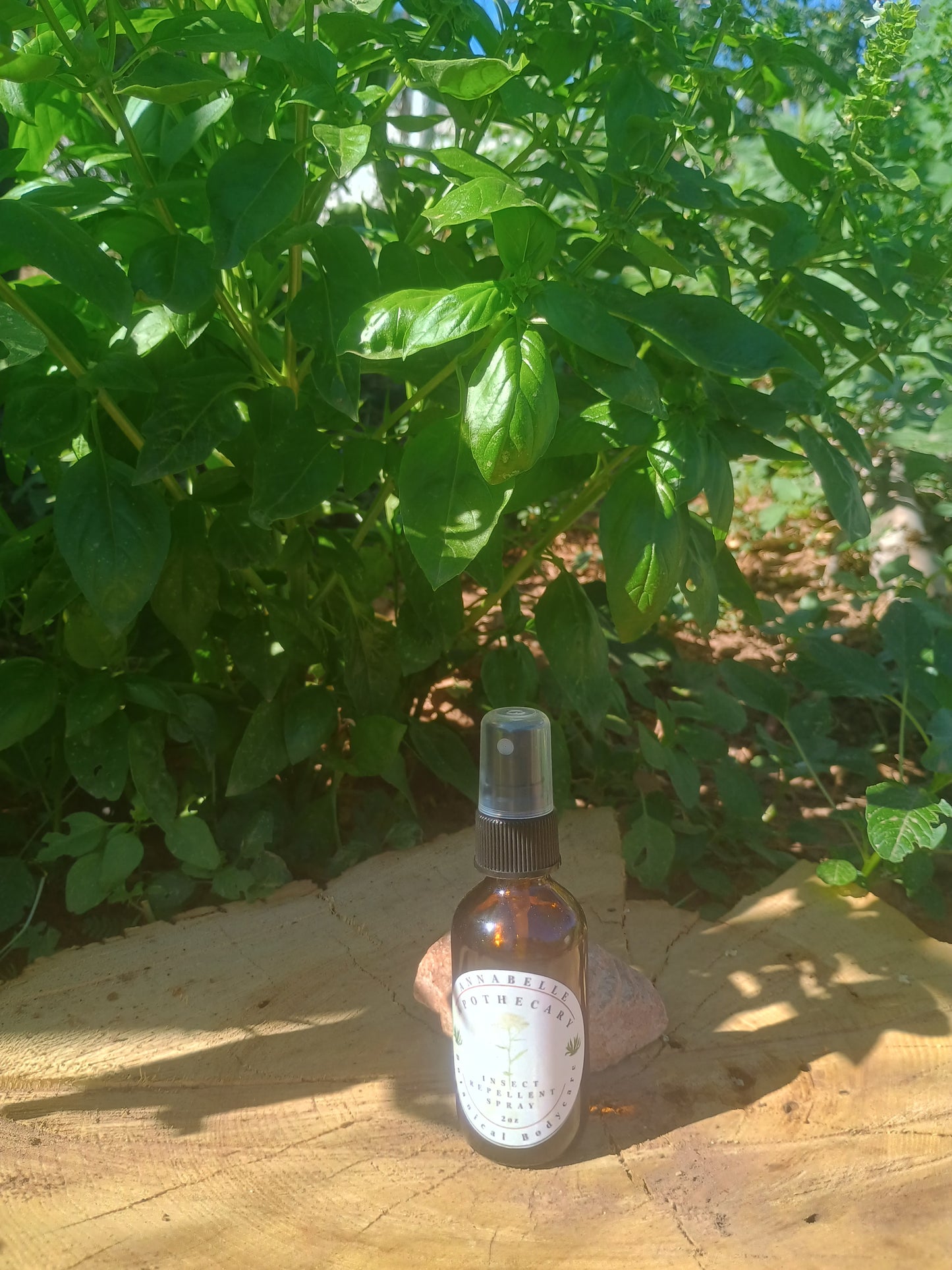 Insect Repellent Spray - Strong