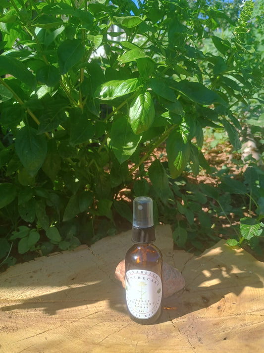 Insect Repellent Spray - Strong